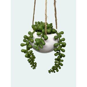 Artificial Hanging Miniature Succulent Plant Faux Fake String of Pearls Ceramic1